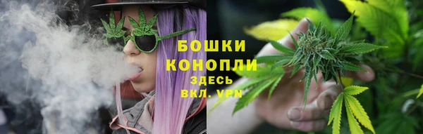 mdma Заводоуковск
