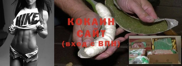 сатива Зеленокумск