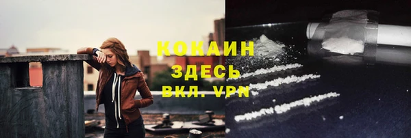 сатива Зеленокумск