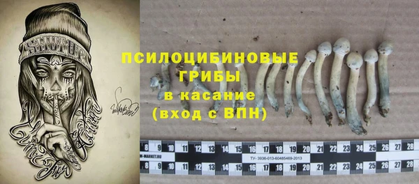 сатива Зеленокумск