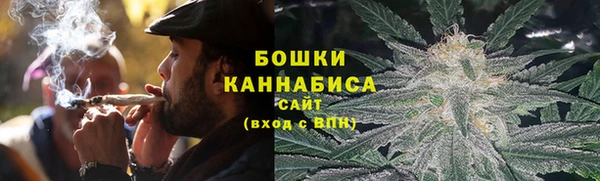 сатива Зеленокумск